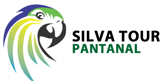 pantanal tours